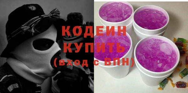 таблы Гусев