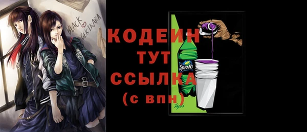 таблы Гусев
