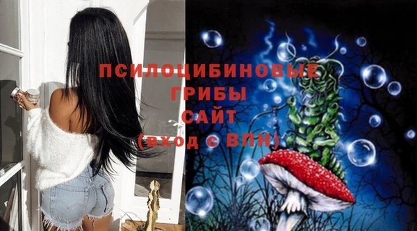 МДМА Дмитриев
