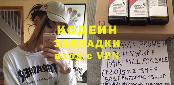 таблы Гусев