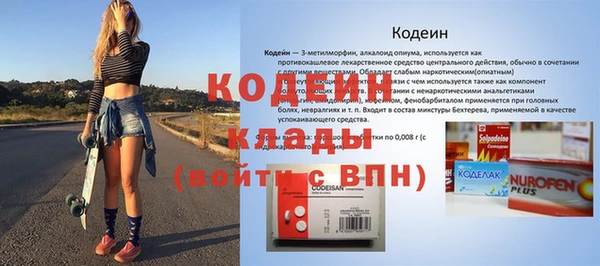 мдпв Гусь-Хрустальный